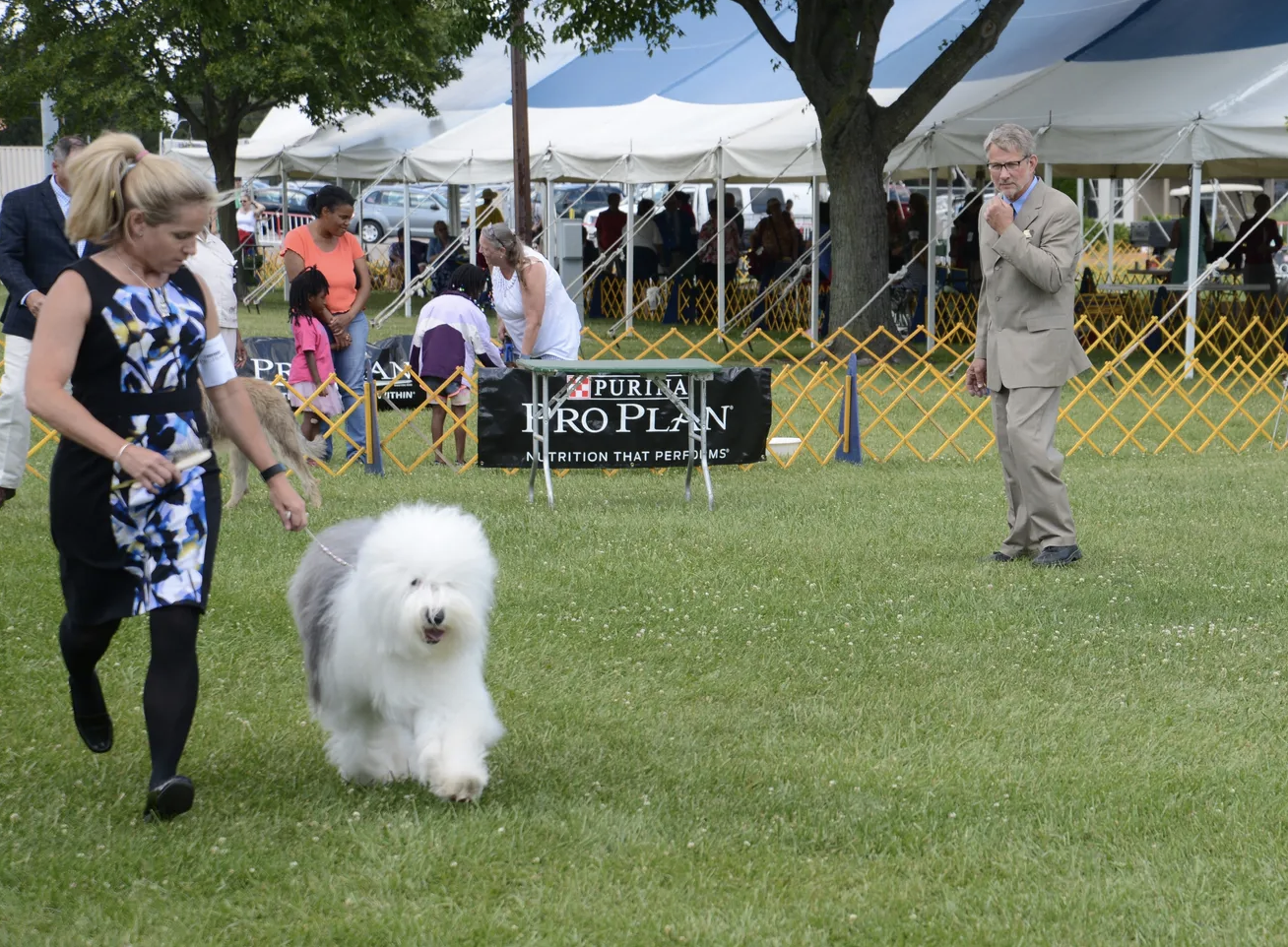 Monroe Dog Show