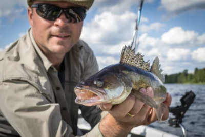 Michigan Walleye Tour